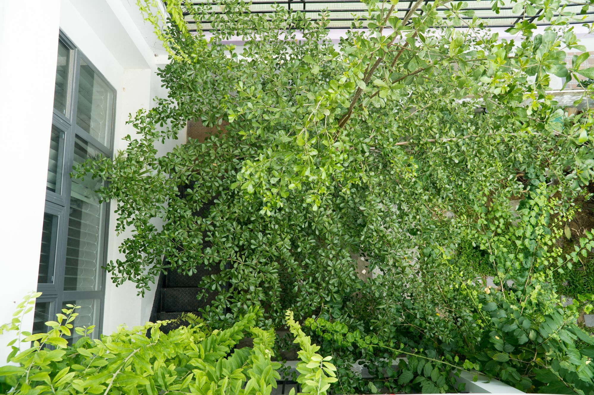 Kiu House - 3Br - Green & Artistic Дананг Экстерьер фото